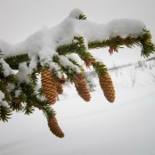 Лыжный поход 2 к.с. с элементами 4 к.с. по Полярному Уралу 43